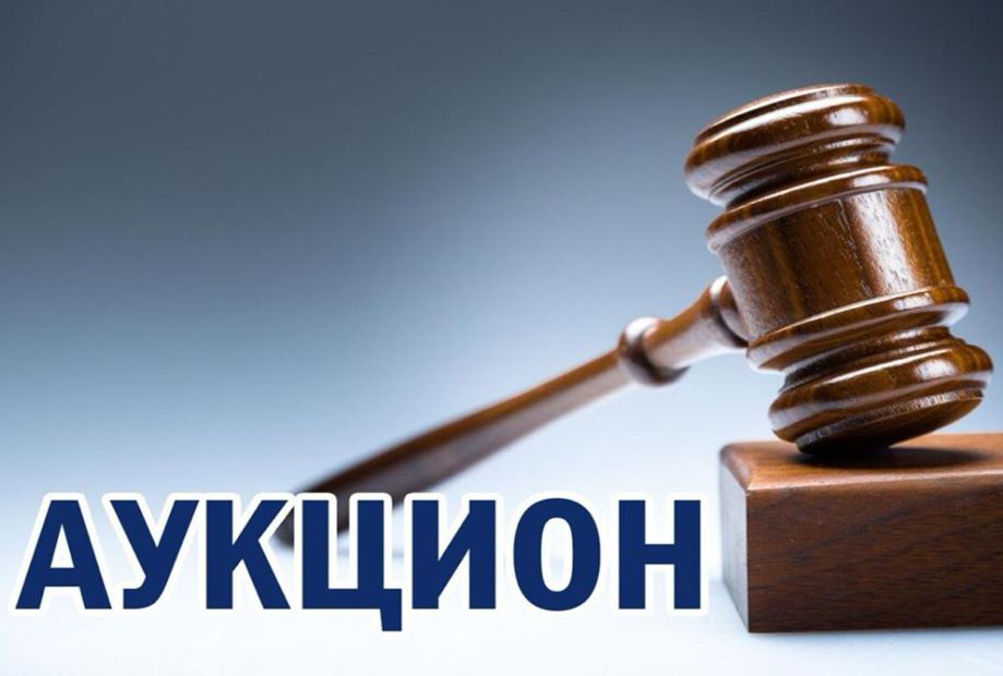 «Ала-Тоо Резорт» алкагында инвестициялык долбоорлор үчүн мамлекеттик жер тилкелерин ээликтен ажыратуу боюнча аукцион